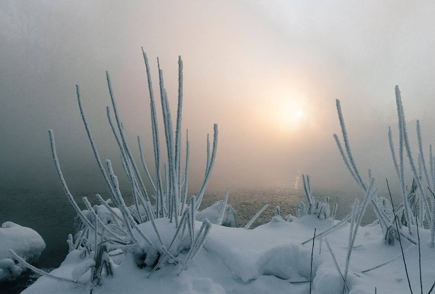 Зима, Иней, Мороз, Пейзаж, Рассвет, Река, Туман, Анатолий Зверев