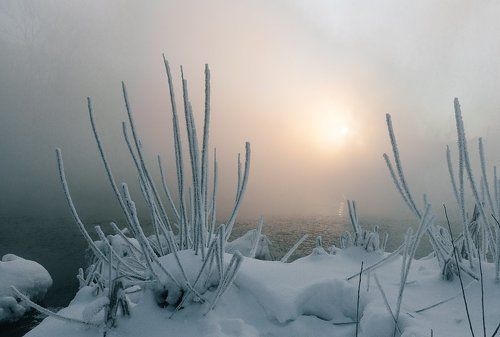 Морозное утро.
