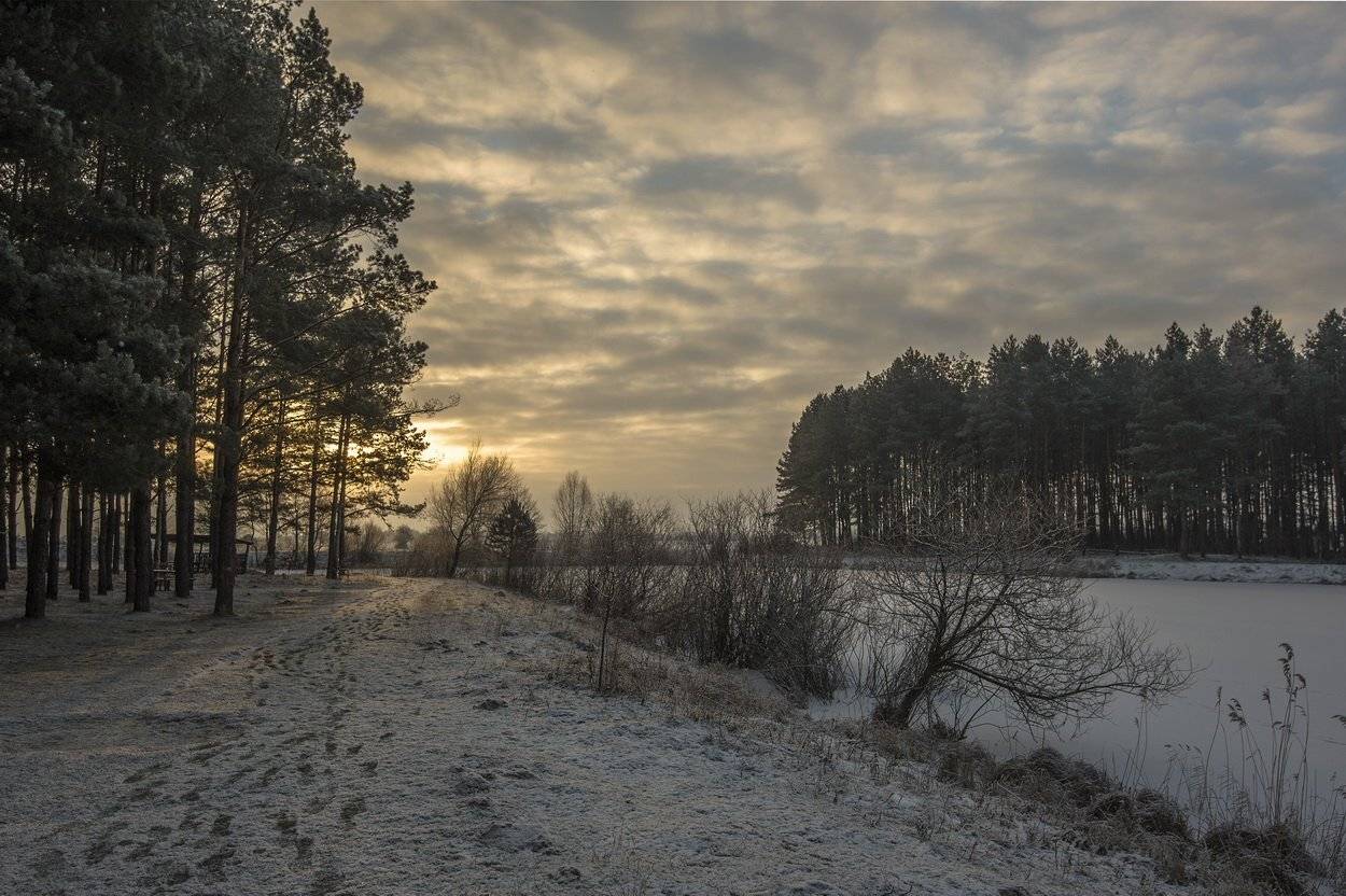 , Володимир Карчевський