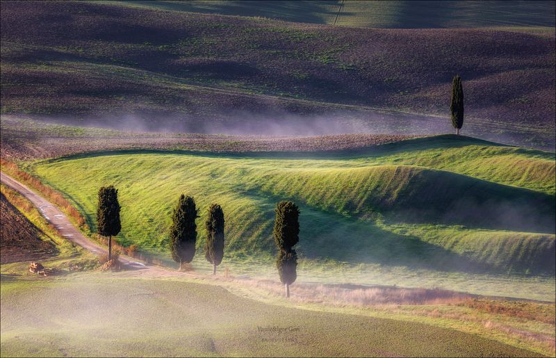 italy,san quirico d \'orcia,italia,пьенца,италия,тоскана,кипарис,toscana,осень,tuscany,cipressi,дымка,morning,colors,fog Стелется дымка меж кипарисов... фото превью