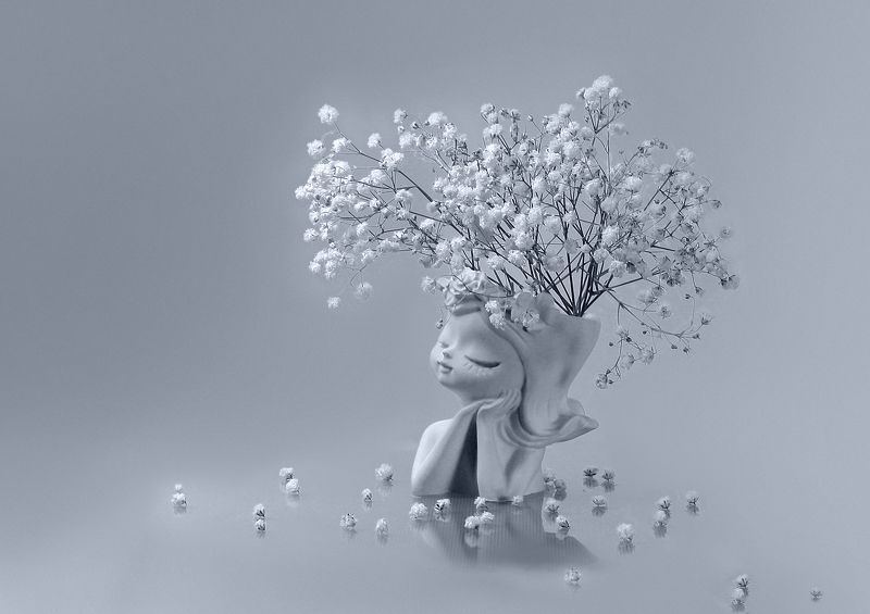 Этюд с гипсофилой 2 фото превью