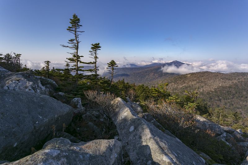 Горы, туман, утро  фото превью