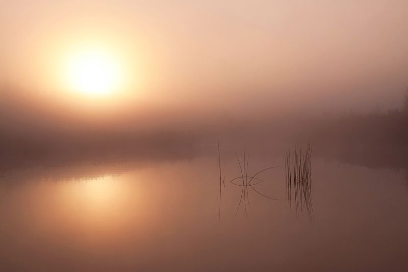 September morning фото превью