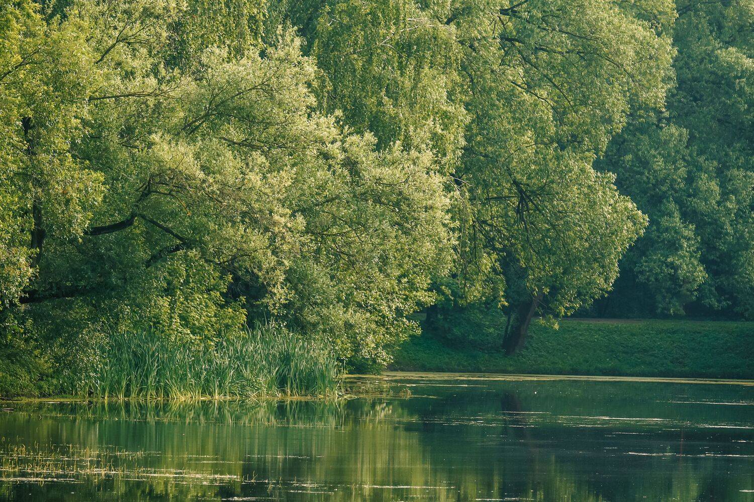 , Даников Анастасия
