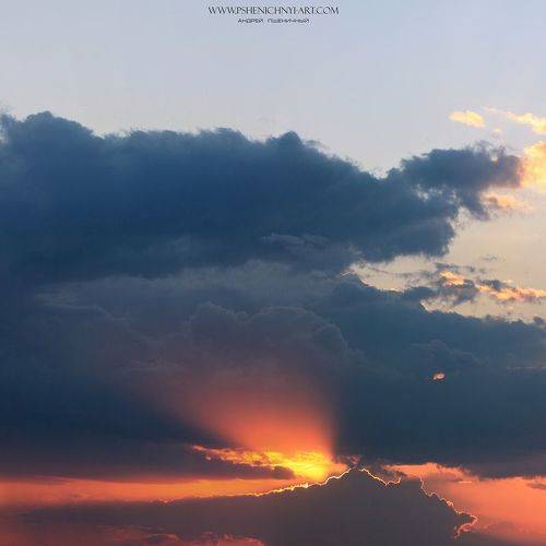 Вечерние силуэты