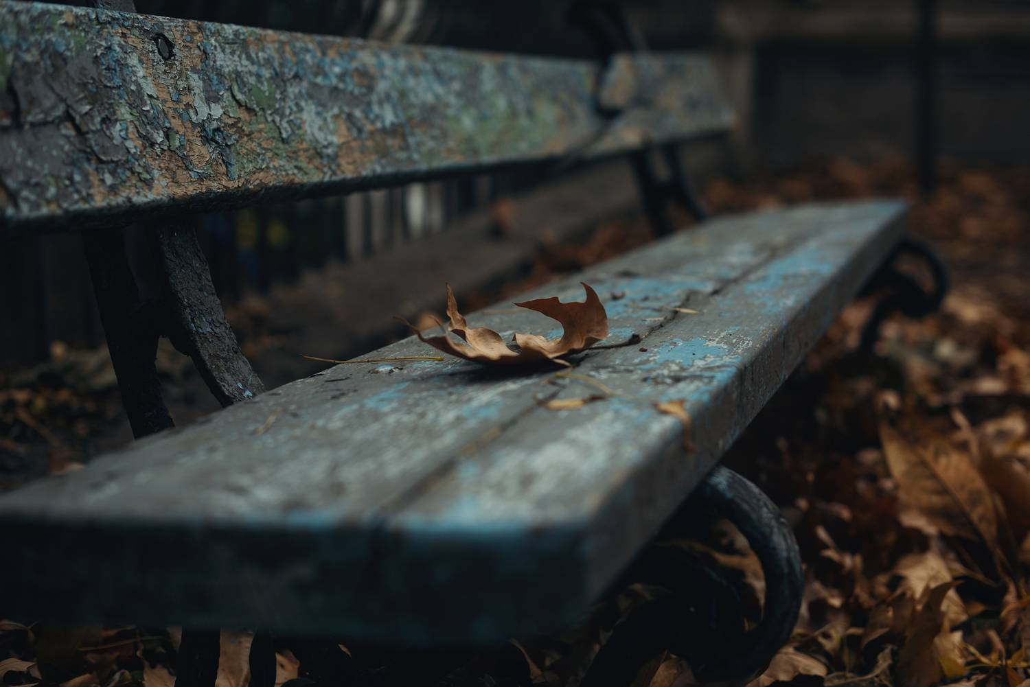 осень, скамейка, листва, Вьюшкин Игорь