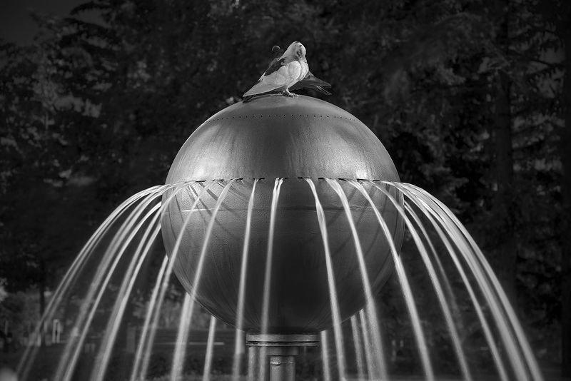 пейзаж, город, фонтан, шар, струи, голубь, мир, красноярск, архитектура Фонтан у театральной площади фото превью