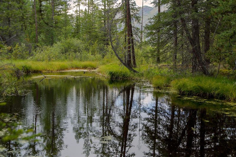 времена года фото превью