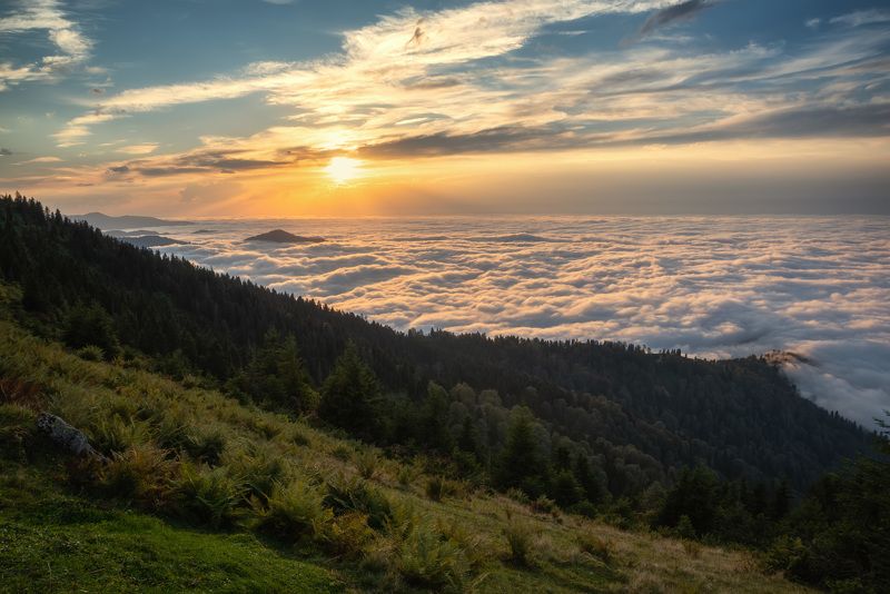 Колыбель для солнца фото превью