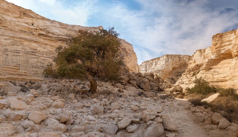 Оазис эйн Авдат, Негев фото превью