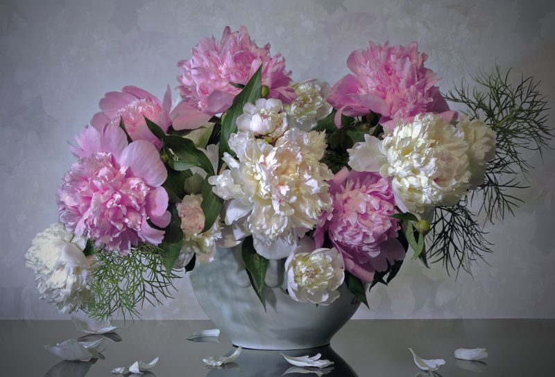 Мои пионы фото превью