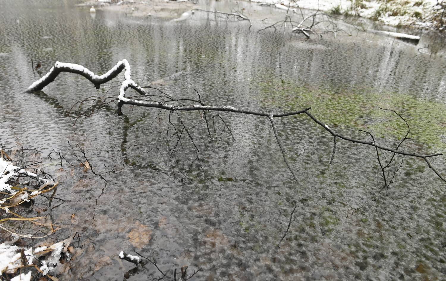 , Аникеев Владимир