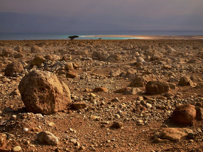 The Dead Sea ... фото превью