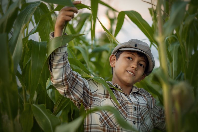 фото превью