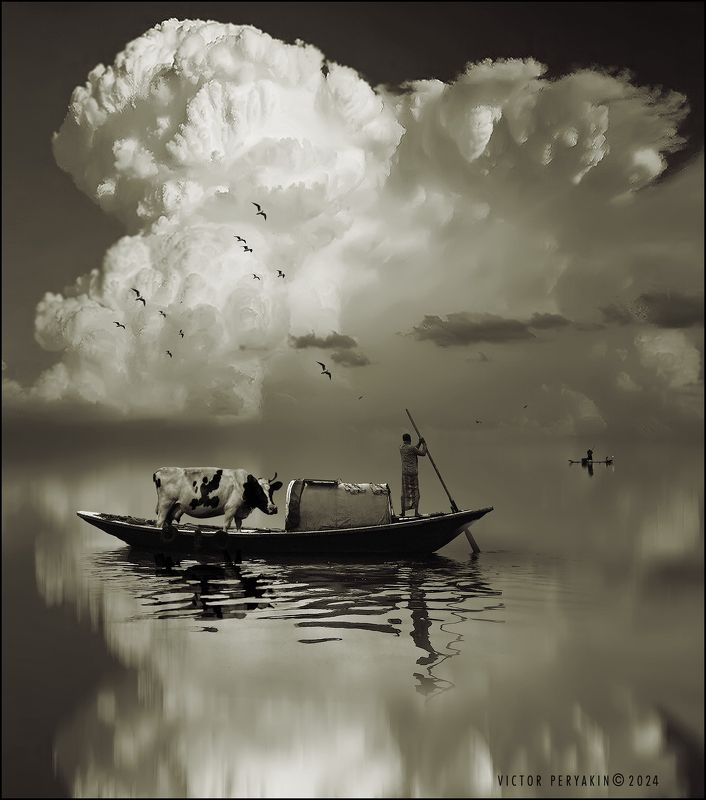 На новое место.... фото превью