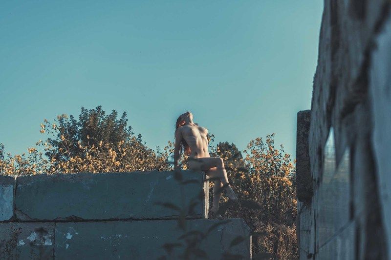 фото превью