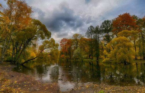 Разноцветная осень