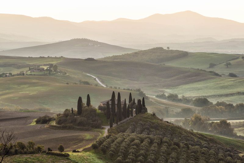 Бельведер без туманов фото превью
