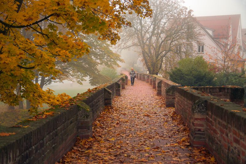 город, пейзаж, осень Осень фото превью