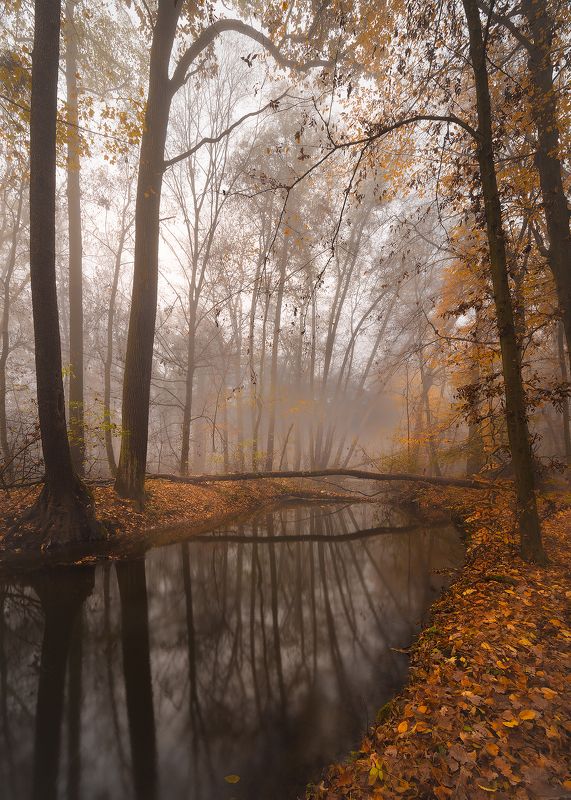 Autumn фото превью