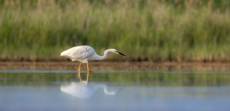 Прогулка.  фото превью