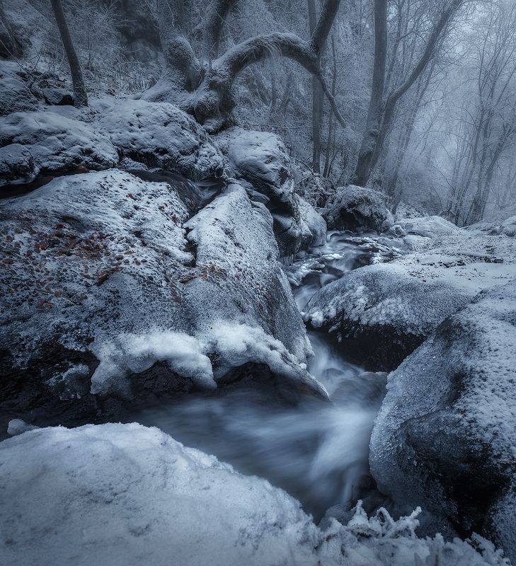 landscape nature scenery forest wood autumn rime mist misty fog foggy river longexposure mountain rocks vitosha bulgaria туман лес oсень Frost, first winter clothes / Мороз, первая зимняя одежда фото превью