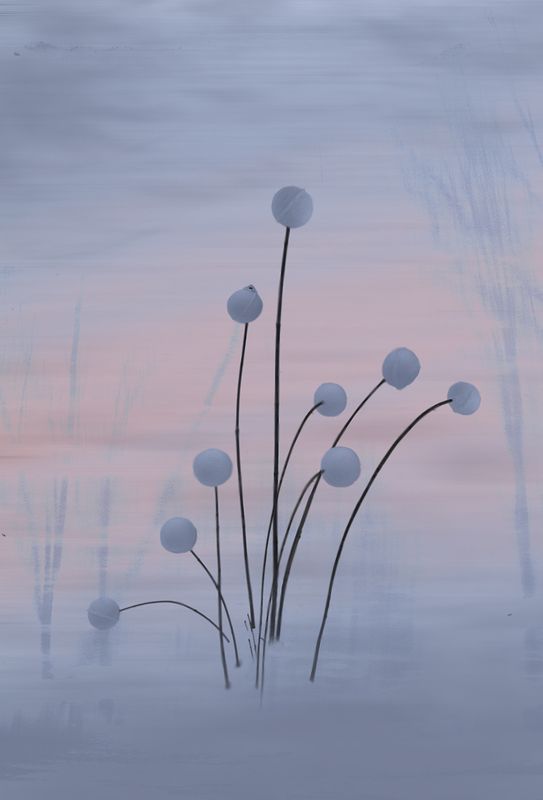 Снежные фантазии фото превью