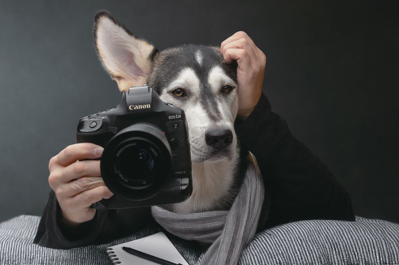 Уставший фотограф... фото превью