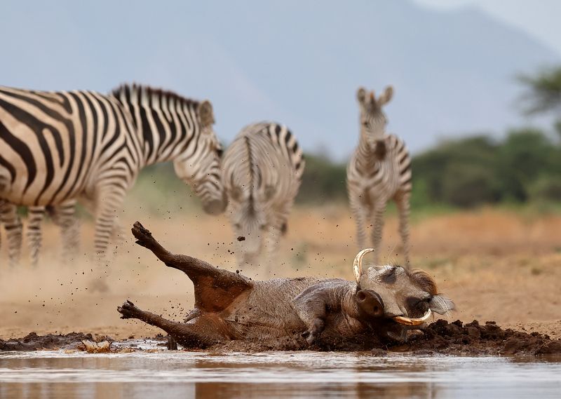 ЖИТЬ НУЖНО В КАЙФ! фото превью