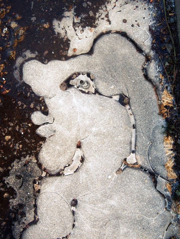 парейдолия Парейдолия (замёрзшая лужа) фото превью