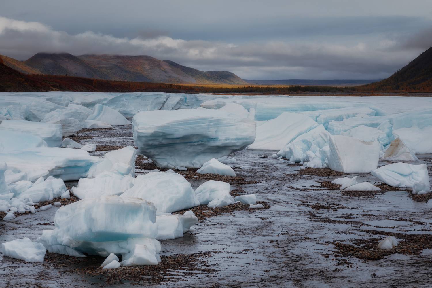 республика_саха_якутия саха якутия оймяконский_улус оймяконье хребет_сунтар-хаята река_бургали осень, Шишкин Дмитрий