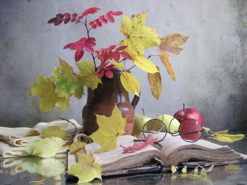 ветки, листья, клён, роза, осень Осенние листья фото превью