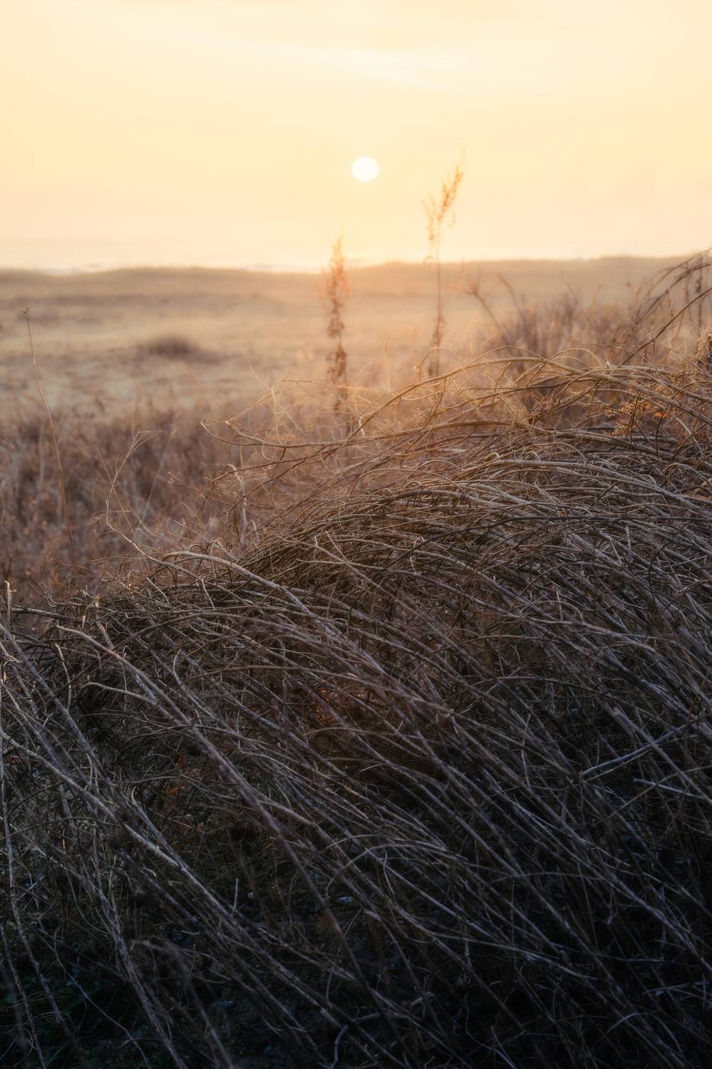 , Антон Сидоров