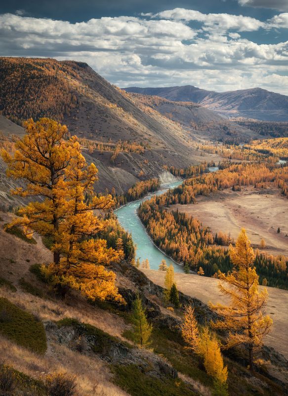 Там, где гуляет ветер фото превью