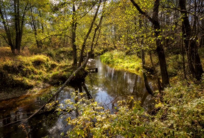 Начало Осени фото превью