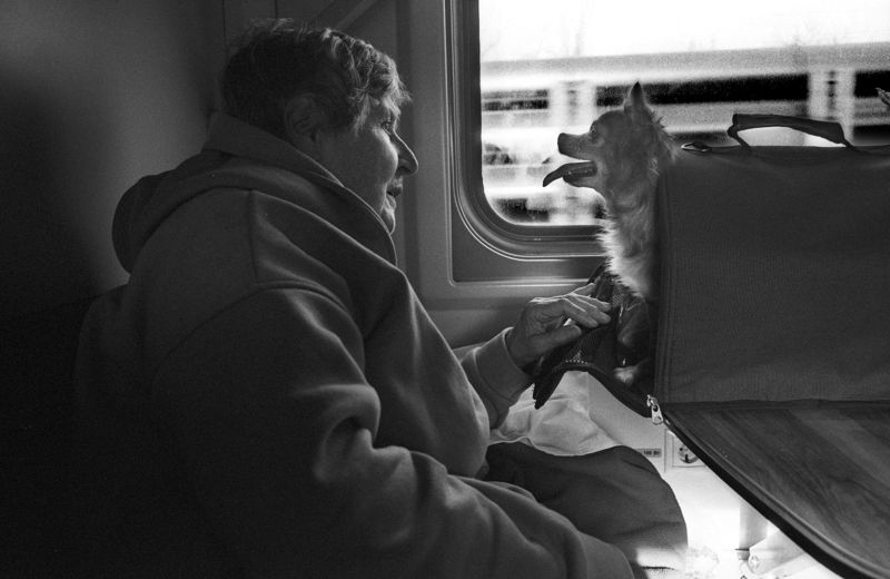 бн фото превью