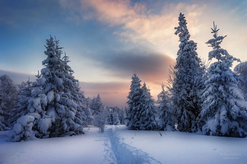 уван, гора уван, челябинская область, зимний лес, зимний пейзаж Зимняя сказка фото превью