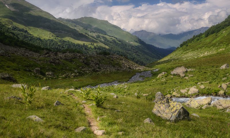 Вдоль реки. фото превью