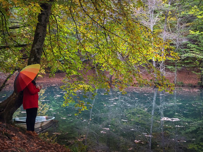 /// фото превью