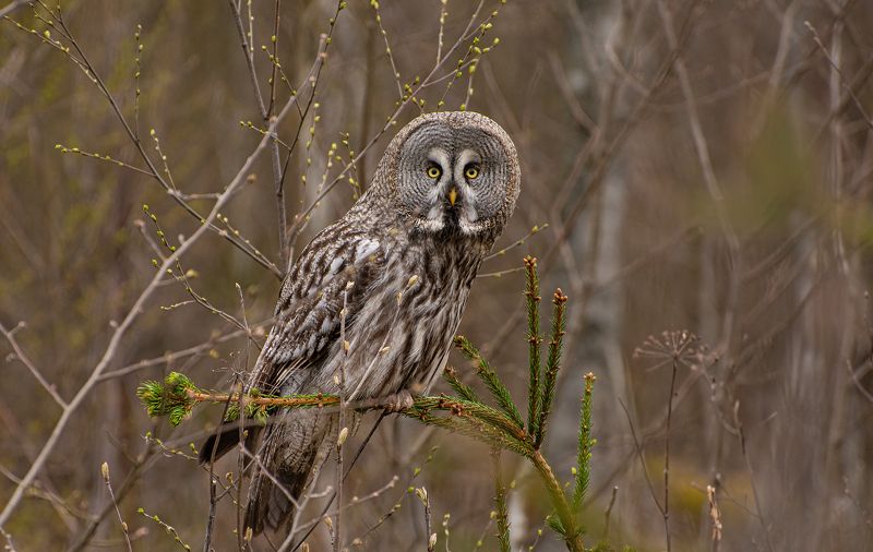 Первая встреча :) фото превью