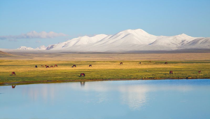 горы, озеро, пейзаж, облака, отражение, утро Утро в горах фото превью