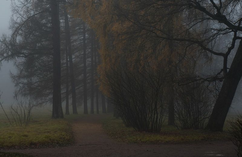 A morning in November фото превью