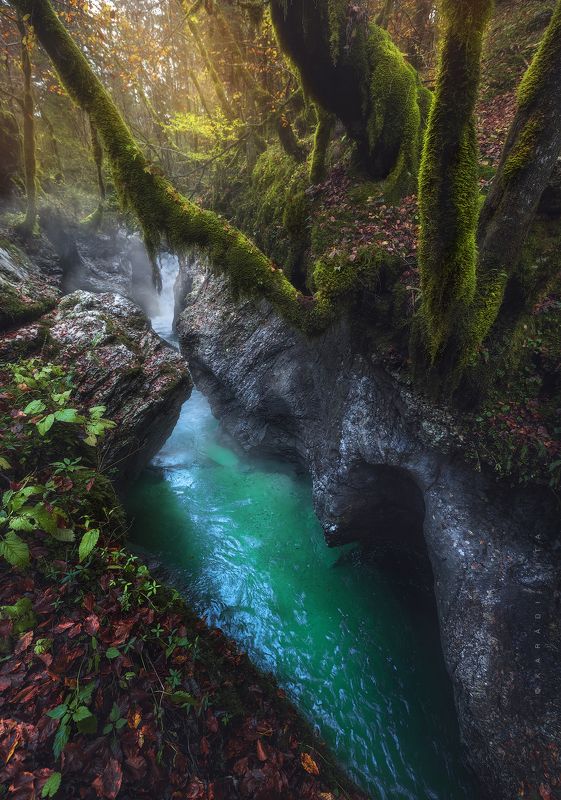 slovenia, longexpo, river, landscape,  sky, trees, mountains, mountainscape, foggy, rocks, landscape, landscapephotography, The Autumn jungle фото превью