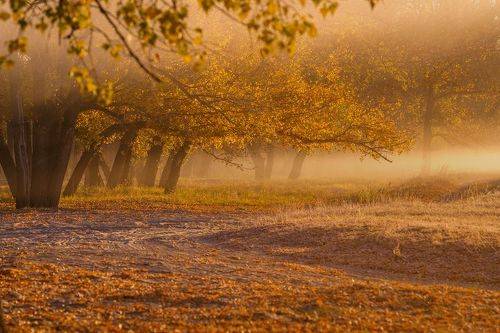 Утро