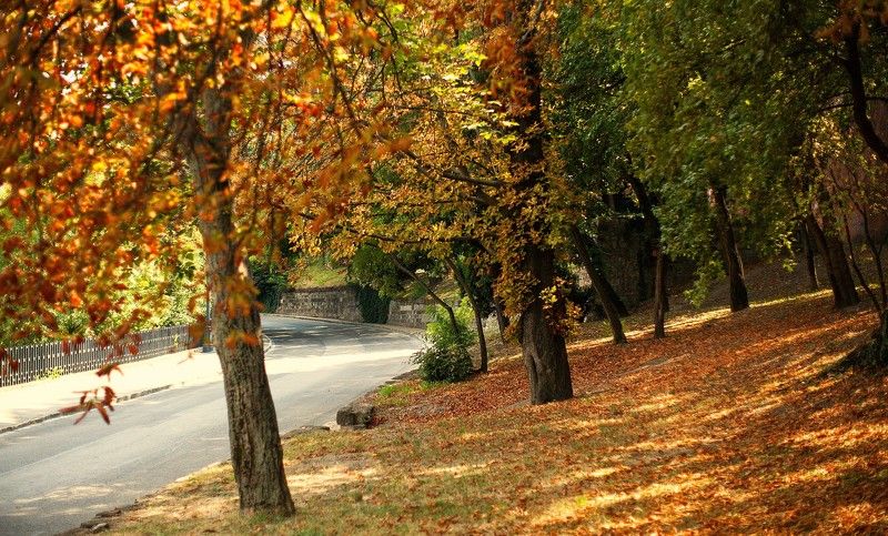 Осень *** фото превью