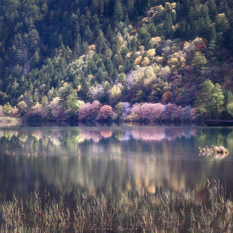 Цзюджайгоу фото превью