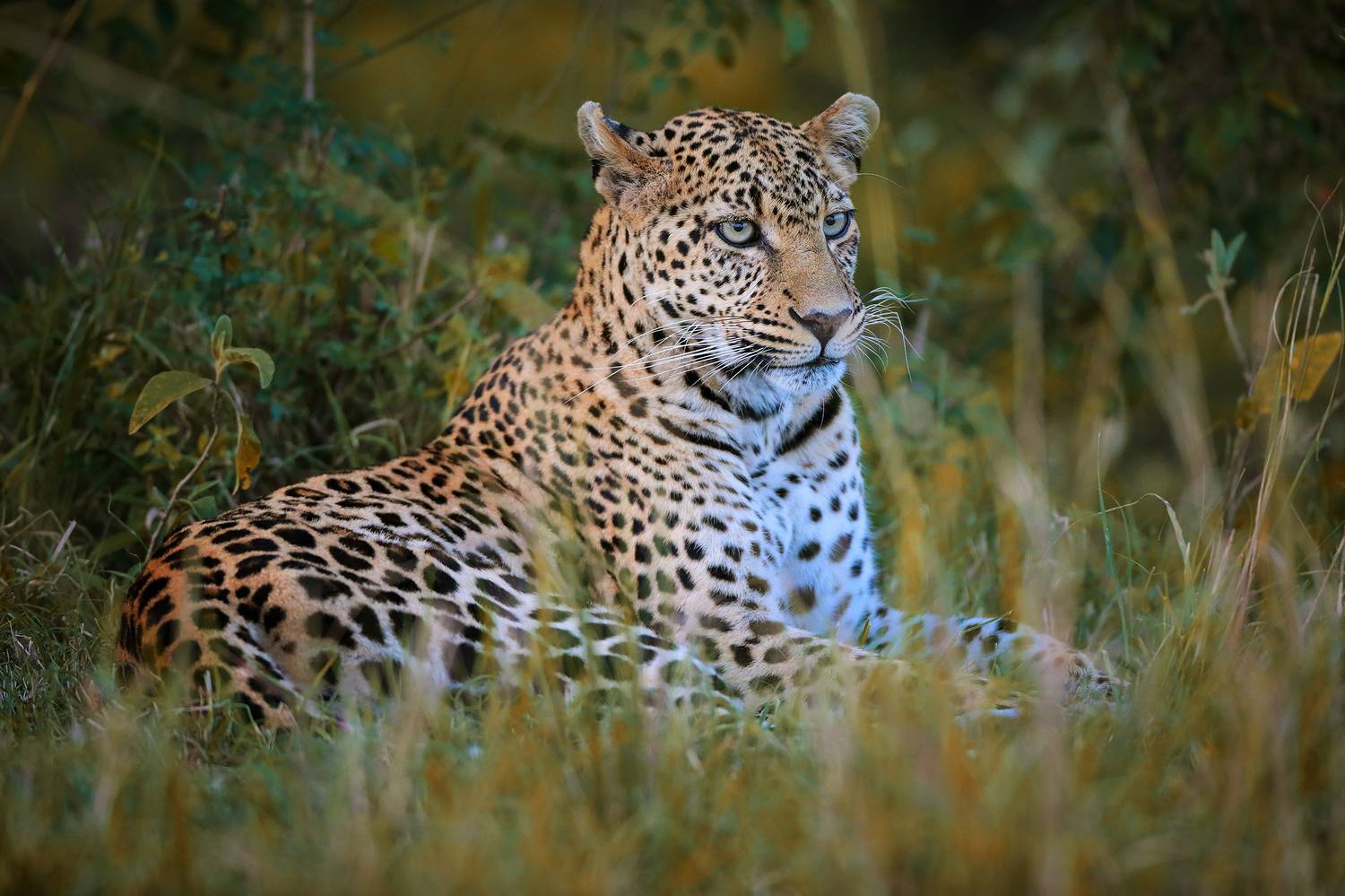 , Худзинская Ирина