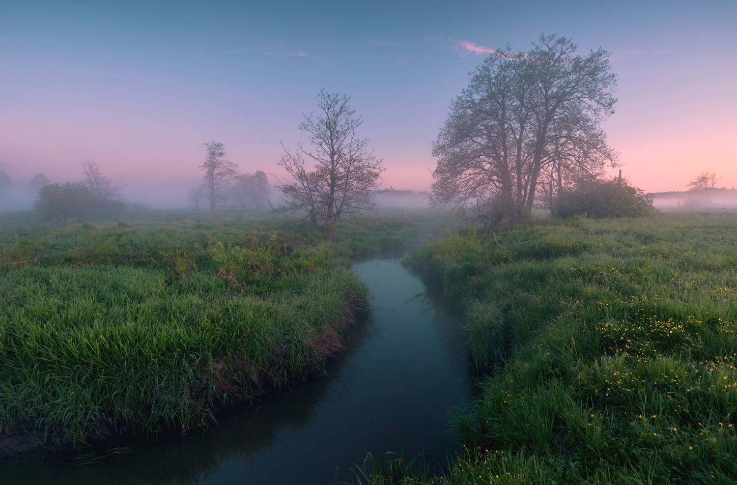 , Роман Лушпа