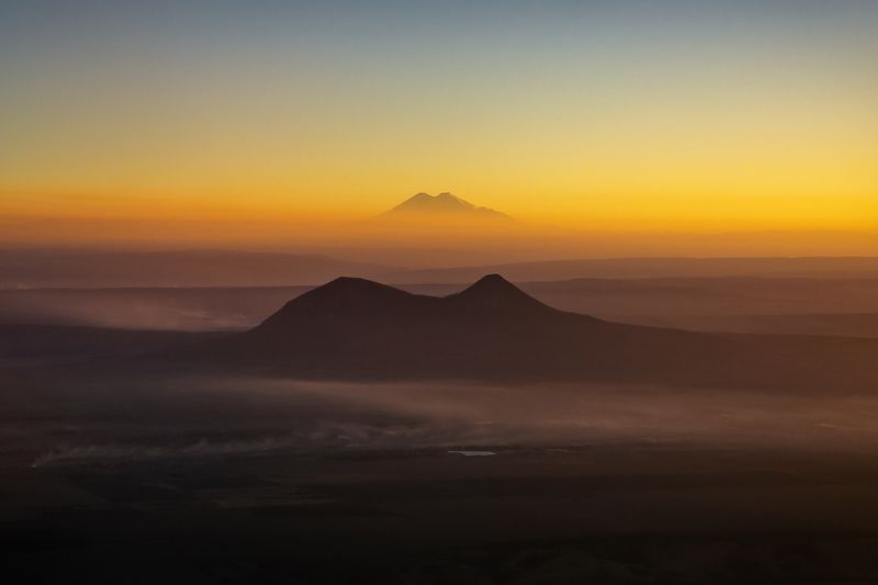 Двугорбые фото превью