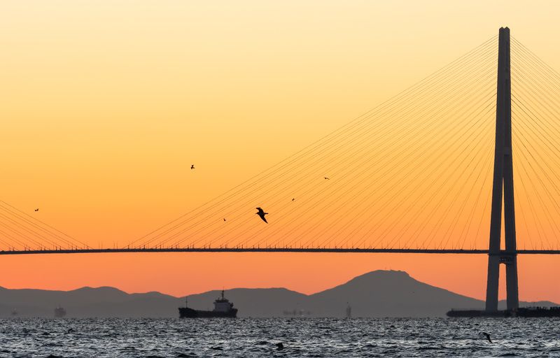 Рассвет с видом на мост Русский… Dawn with a view of the Russian bridge... фото превью